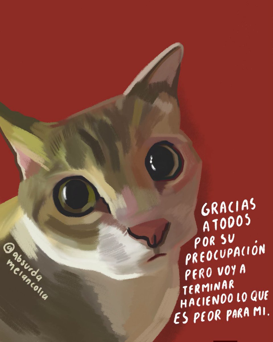 absurdamela's tweet photo. https://t.co/khs8TziTGR