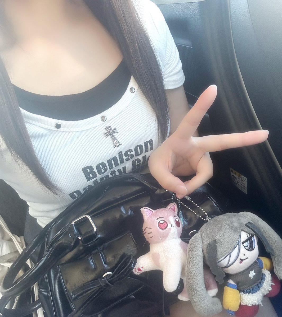 om_tyzZ's tweet photo. 今日からおばあちゃんちにレツゴーᴗ ̫ ᴗ⭐︎
おともはしょがとTAIDAニラです🎶（というかこの子達くらいしかぬい持ってない） https://t.co/Csp7Qpd5B2