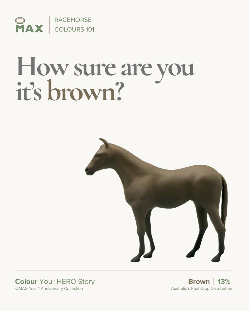 OmaxHero's tweet photo. 13% of foals born in Australia last season were brown.

Explore our new Colour Crop Collection, inspired by the 2025–26 Australian foal crop. Each model represents 1% of the coat colour distribution.

Explore the collection at https://t.co/6EMcdNzWks. (link in bio) https://t.co/tC0UXiqQZa