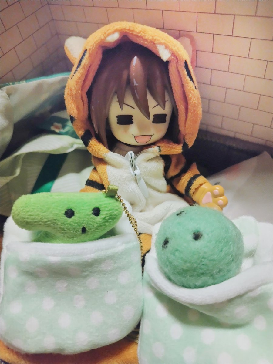 seiron_ot's tweet photo. 今朝の虎猫くん🟢
#まいにちとらねこくん https://t.co/6oRgmrlYOF