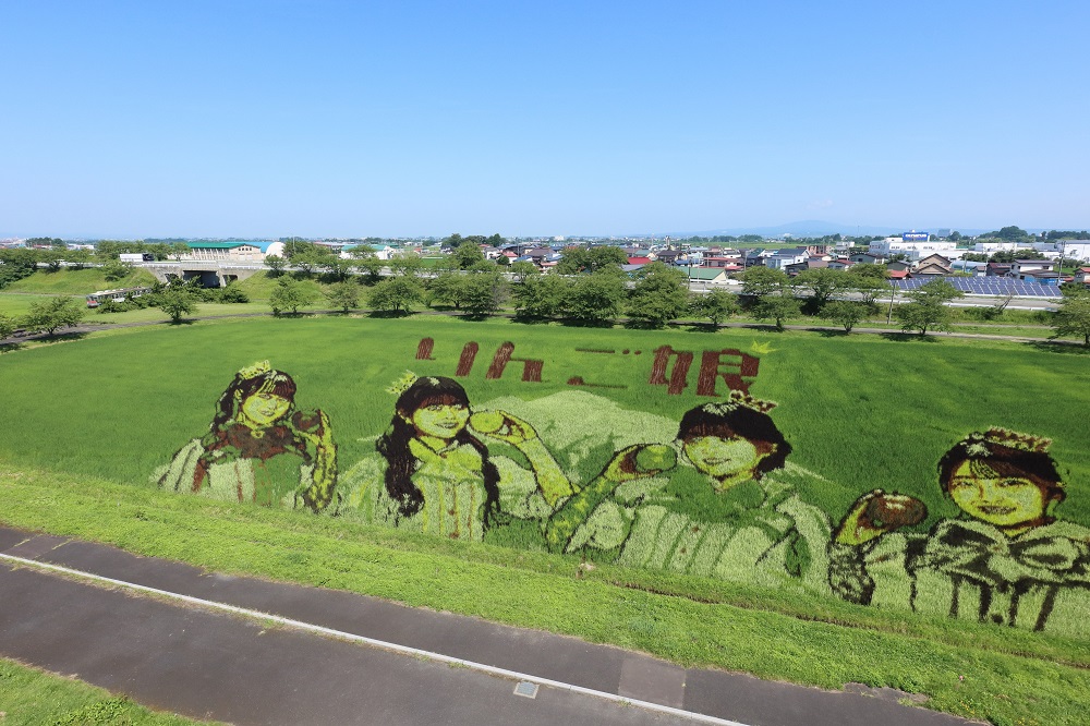 tsugarukoiki's tweet photo. 特派員から投稿された地域資源レポートを紹介します。
テーマ：自由テーマ
タイトル：アートと電車
投稿者：ｒｏｂｉ－ｍｏｍｏさん（弘前市）

投稿日：令和8年8月7日
朝からうなぎ上りの気温で熱中症に気を付けて田んぼアートを見て撮って来ました。 https://t.co/bjxFEle4ED