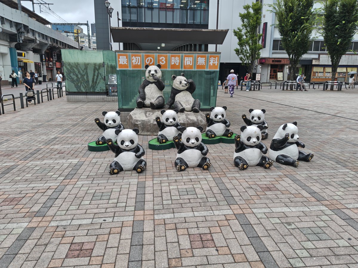 yamipaka's tweet photo. 3時間無料のパンダ群 https://t.co/rzcEqBsI2B