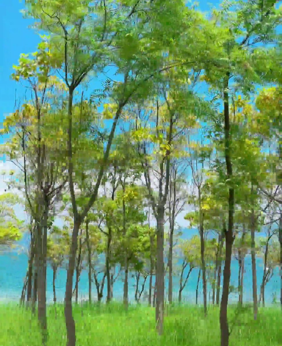 kalender3437's tweet photo. #上海 #穿搭 哥们说我该多出门，于是常去奉贤追剧，有没有同频的来认领，附近有哥们吗 海湾！有没有一样的 #反差 https://t.co/D65j3wF7ip