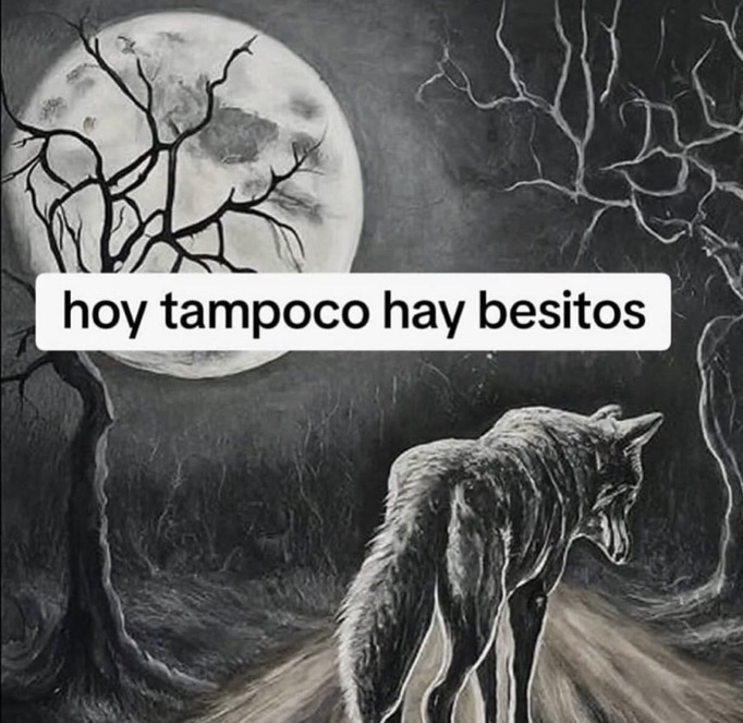 cxrrly's tweet photo. mood https://t.co/T1WyN1BxIc