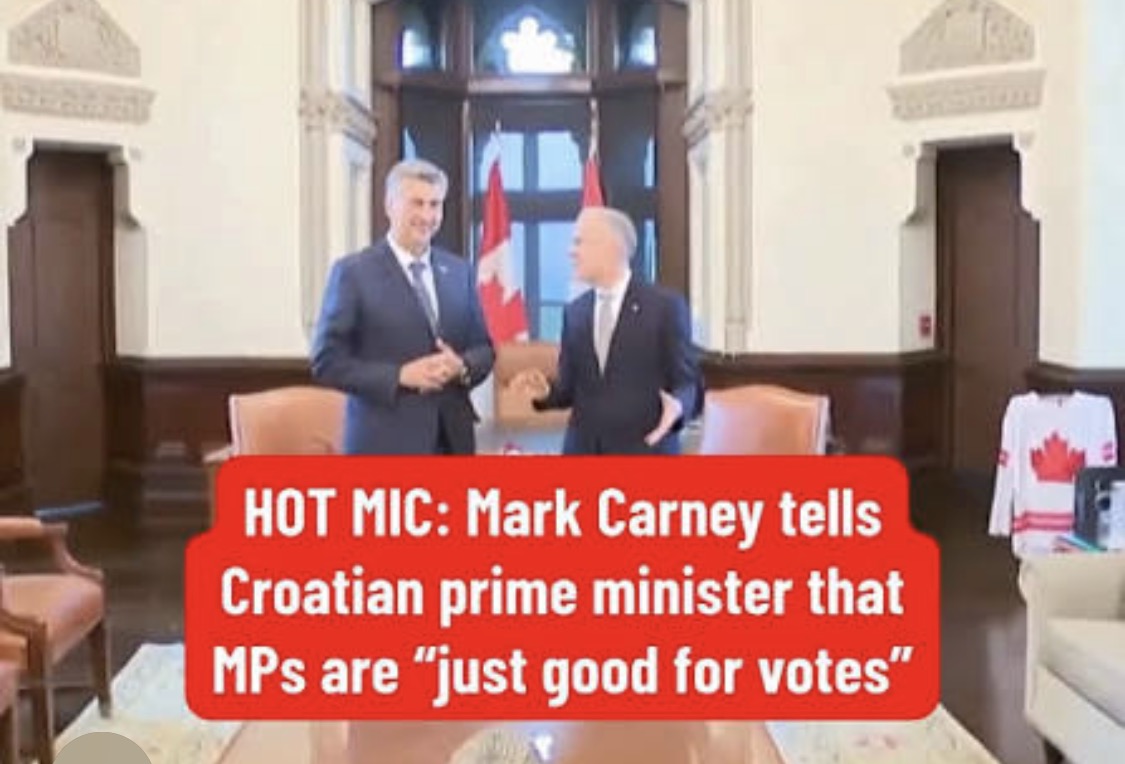 HabsSuck2's tweet photo. @liberal_party https://t.co/LvipIo2YKu