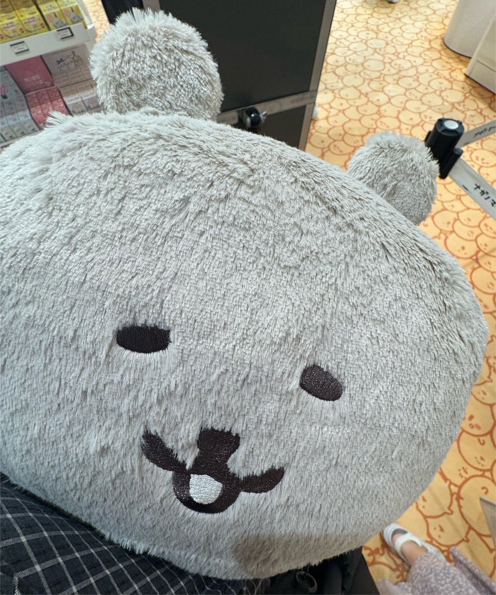 Nameko_0129's tweet photo. 買い物バッグに収まらずこれ😂 https://t.co/BhiCbVGZFm