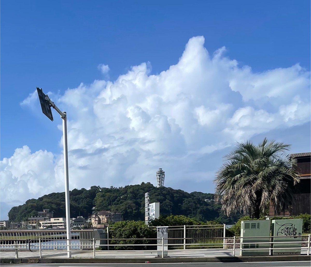 take_butayarou's tweet photo. 思春期は終わらない――。 https://t.co/EkjFEgWt5i