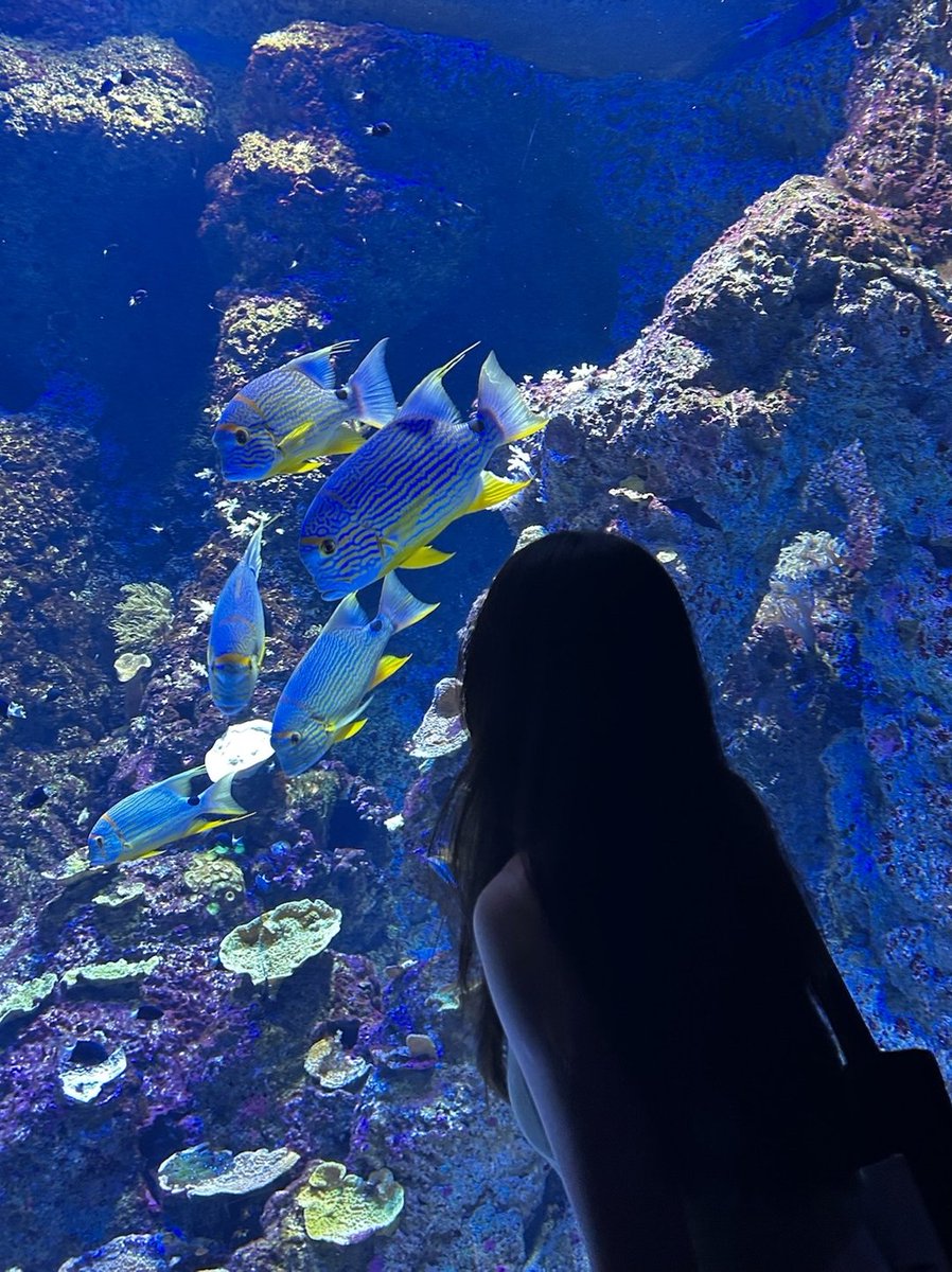 Jinx_mmo's tweet photo. Silent conversations with the ocean https://t.co/yXj9SLg0T4