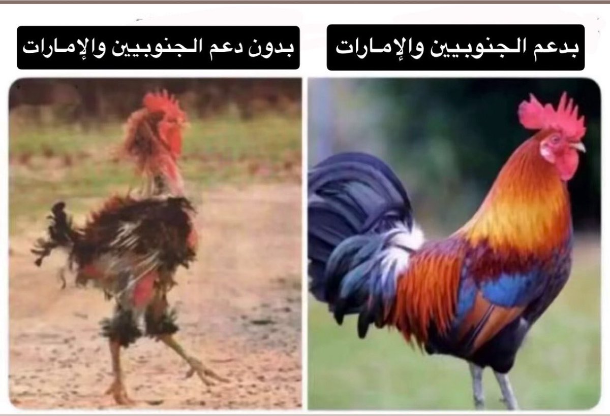 cc611x's tweet photo. غدرت بالجنوبيين عشان اتفاقك مع الحوثي

واليوم تلومهم على نتيجة غباء قراراتك !!! https://t.co/zEOW6xtIZB