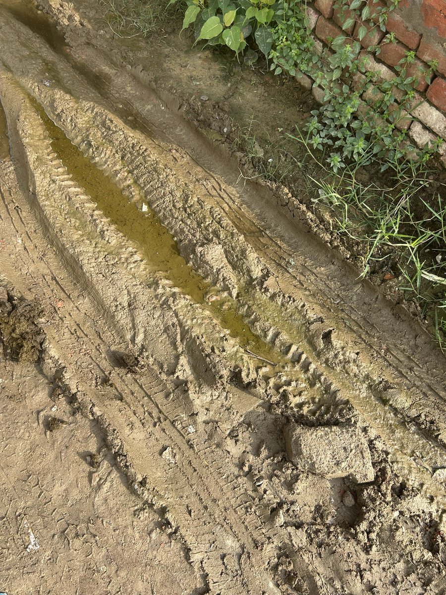 skhansdr's tweet photo. @dmsid1 

Open buffalo rearing behind Lohia Kala Bhawan, Khajuriya Road, Siddharth Nagar is causing severe foul smell, flies, mosquitoes, and unhygienic conditions due to improper waste disposal. Kindly take necessary action in the interest of public health. #SiddharthNagar https://t.co/kRmdmrnhyu