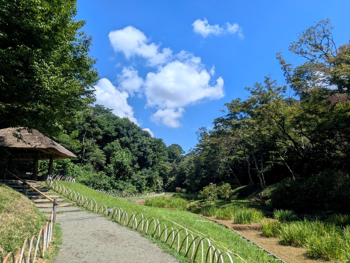 rinne03280822's tweet photo. 都会のオアシス🌳✨️

#明治神宮
#明治神宮御苑
#清正井 https://t.co/qyYHusKHMv