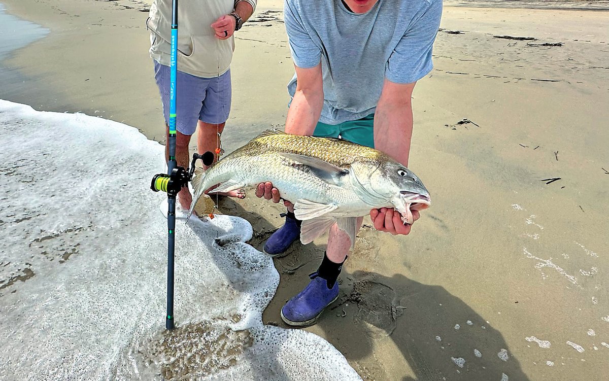 buyersea's tweet photo. 3-Piece Travel Surf Fishing Rod!
https://t.co/Mmr5aEkMAG
#fiblink #fiblinksurf #fishing #surffishing #surfrod #surfspinning #sandyfish #rockybeach #travelrod https://t.co/KDPUxVkKCp