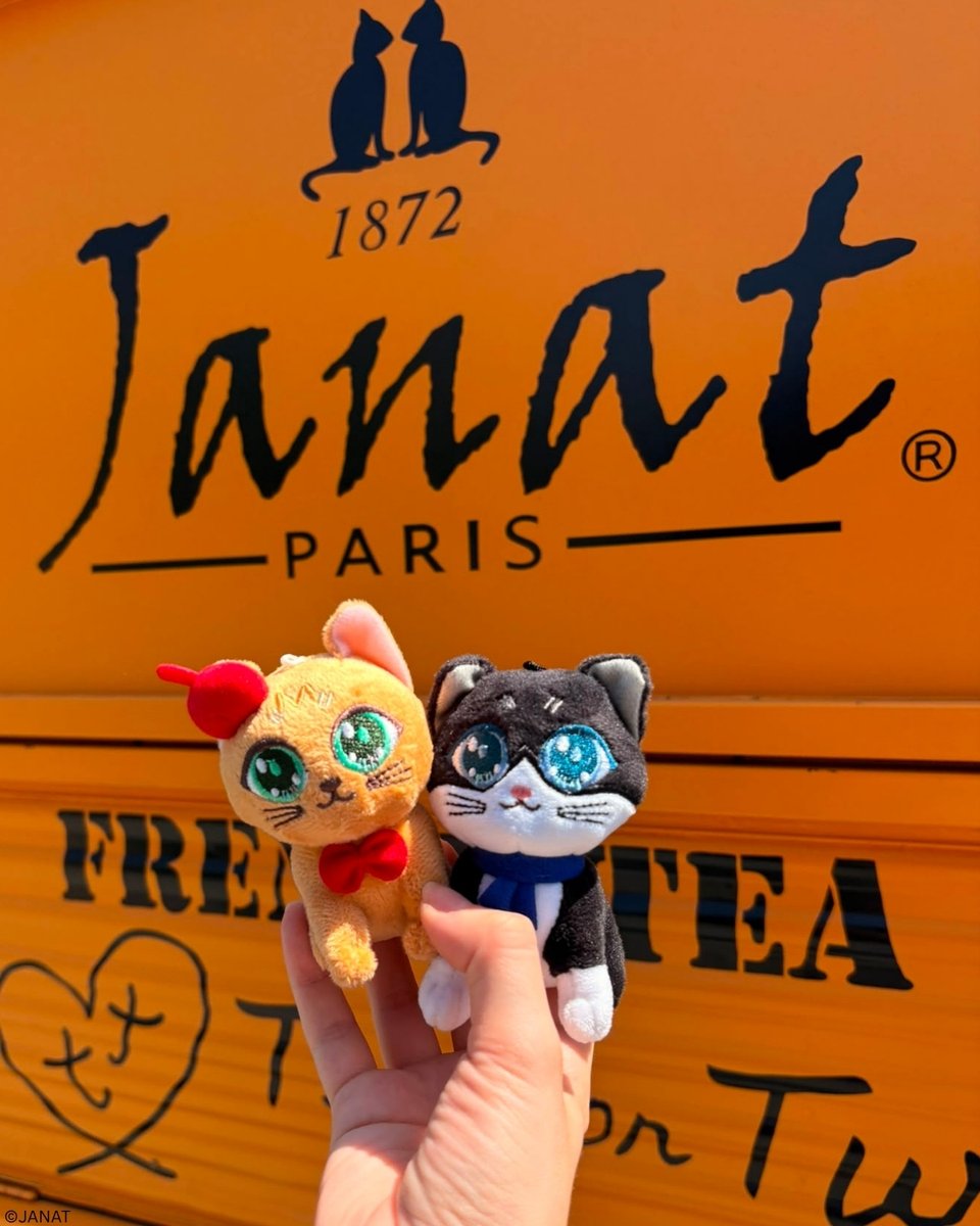 janat_official's tweet photo. 😺😺LUCKY WORLD CAT DAY 🐾

8/8は #世界猫の日 🐈🐈

世界中の猫ちゃんと
猫ちゃんを愛する人たちが
いつも幸せでありますように💕

《 猫マークの紅茶 ジャンナッツ 》は
全ての猫ちゃんとそのご家族の幸せを願っています。
ジャンナッツ紅茶で世界猫の日をお祝いしましょう！ https://t.co/yEbz9U2Yxu