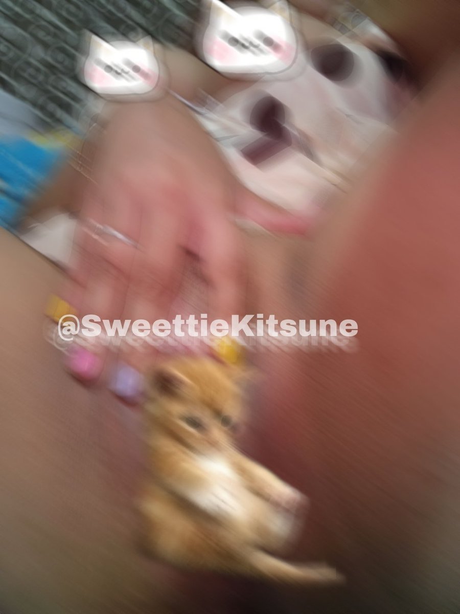 SweettieKitsun3's tweet photo. Fav y rt para recibirla sin censura en tu dm𐔌՞ ܸ.ˬ.ܸ՞𐦯 

no estoy vendiendo, solo enviando por diversión :³ https://t.co/VjGbySTA2u