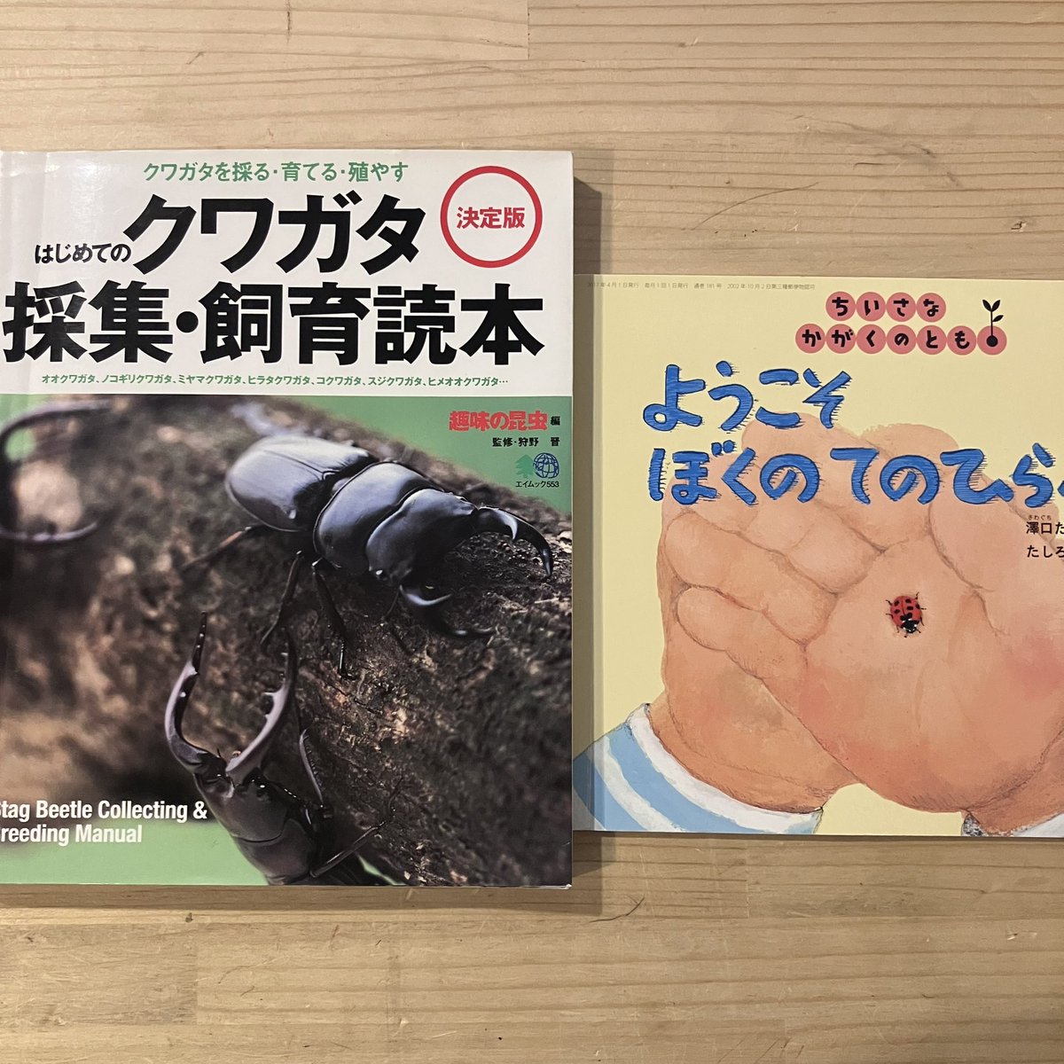 ohesobooks's tweet photo. 夜の玉川上水沿いには虫取り網と懐中電灯を手にした親子がたくさん。小さいけれど、クワガタやカブトムシがいるのだそうです。おすすめは『はじめてのクワガタ採集・飼育読本』、可愛い絵本『ようこそぼくのてのひらへ』。それからドラえもんの学習マンガが入荷しました。今日も２０時までやってます https://t.co/dBmS7azemc