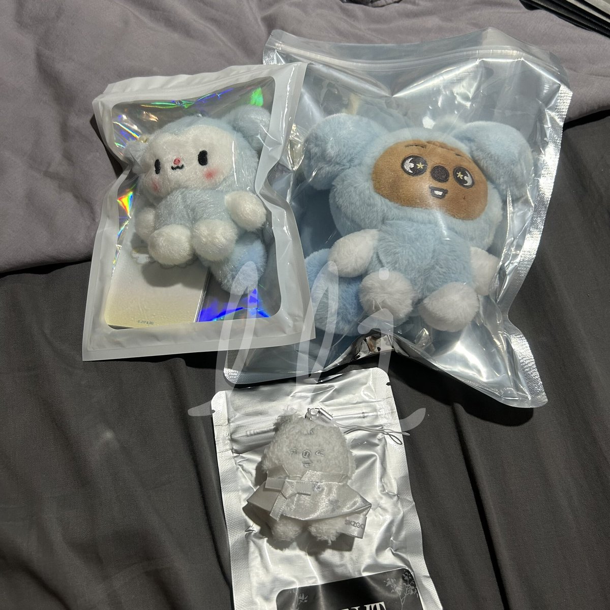 everyycday's tweet photo. wts tasy baby with pc (365k) , skzoo in tasy (hanquokka) 435k , skzoo plush micro (hanquokka) 200k https://t.co/lANq16L3Xy
