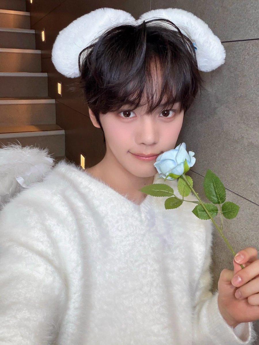 deargvrk's tweet photo. 우리강아지 1년5개월동안 수고했어🩵🩵🩵🩵🩵 https://t.co/qhJmcOXeIv