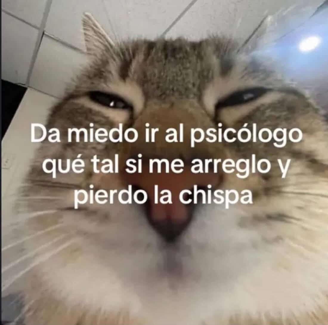 Animalesaprieto's tweet photo. https://t.co/HSbQ09hmwN