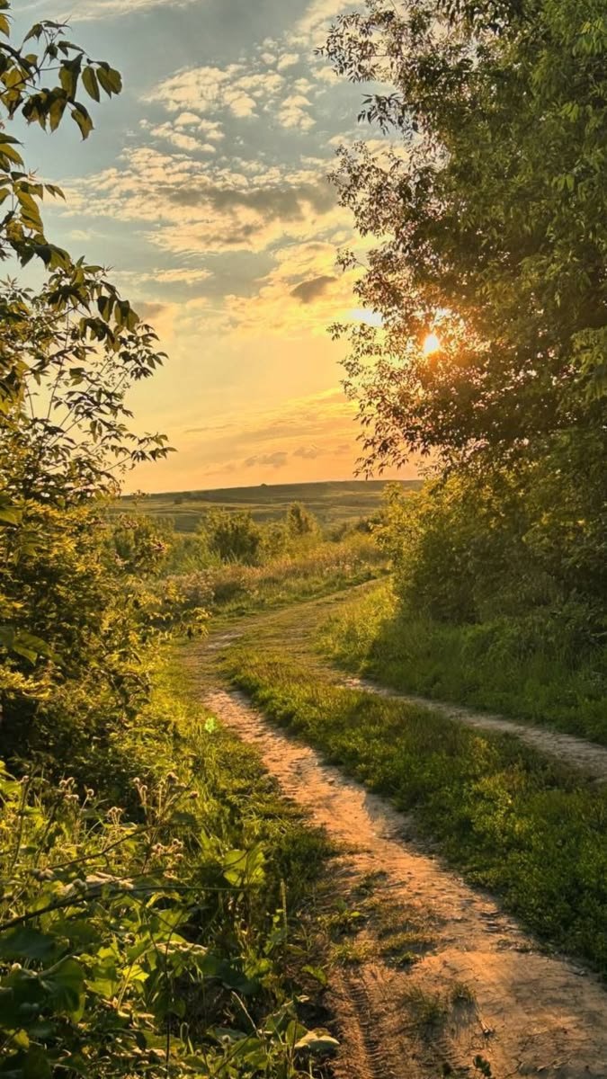 cozyycabin's tweet photo. Find peace in nature's embrace, far from the city's noise https://t.co/Zlgv4tnWUR