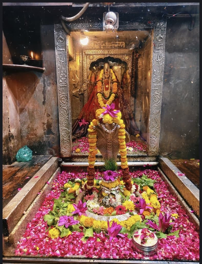 12Jyotirling's tweet photo. श्री ॐकारेश्वर ज्योतिर्लिंग मंगला आरती श्रृंगार | 07.08.2026

Shri Omkareshwar Jyotirlinga Mangala Aarti Shringar | 07.08.2026 https://t.co/GnjiQofdEw
