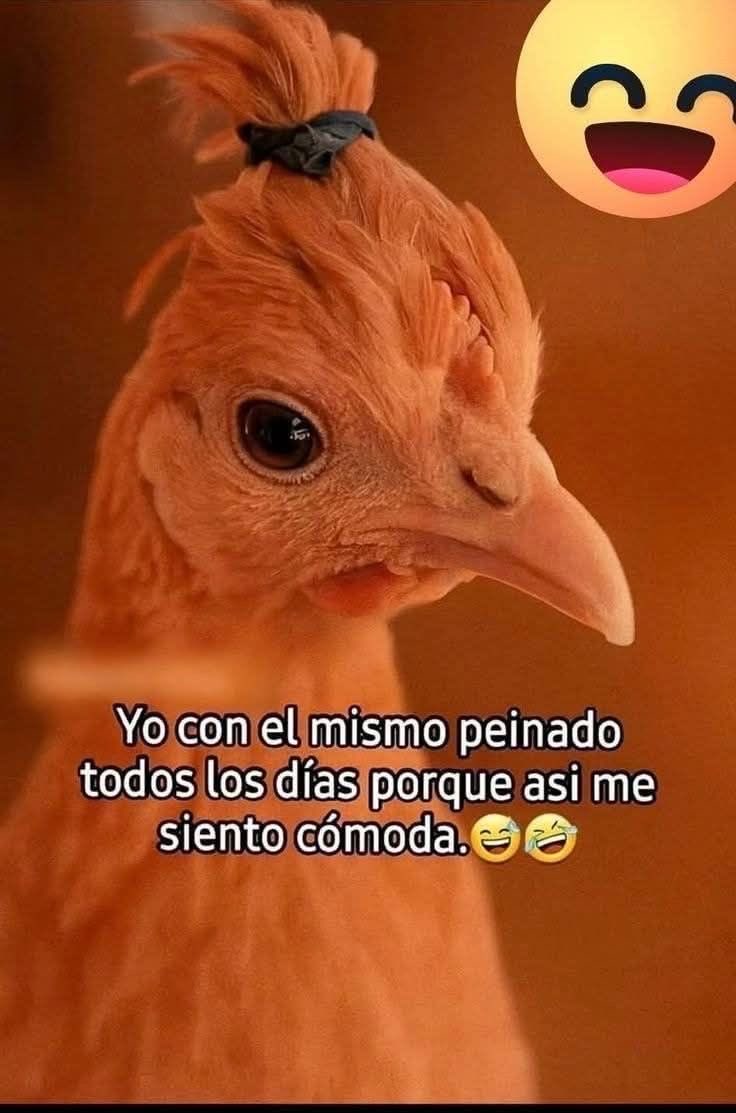 MariCuessta's tweet photo. https://t.co/7vduxmNWGX