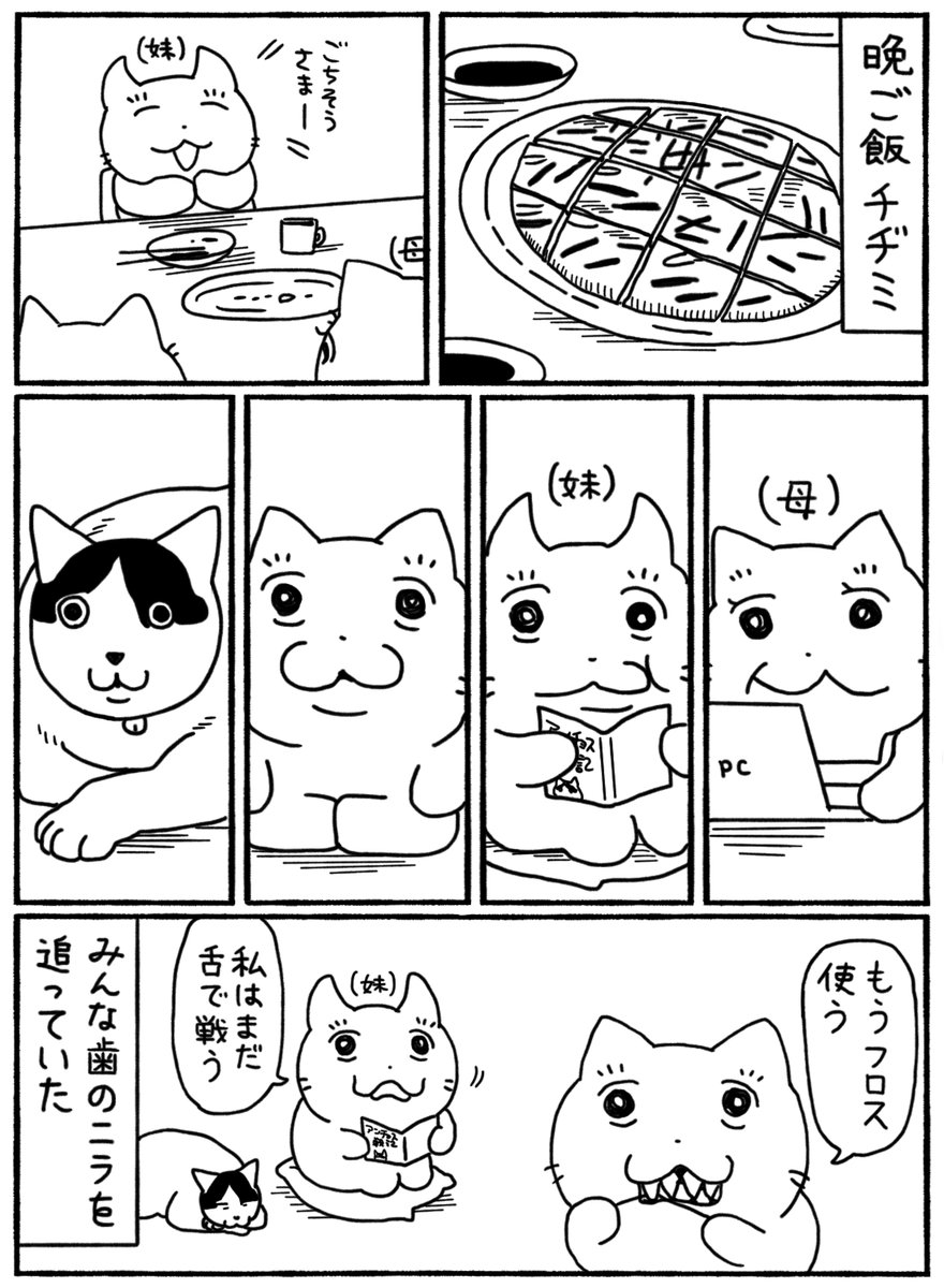murata116's tweet photo. チヂミチェイサー https://t.co/KRcRzFDZqy