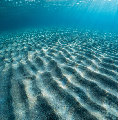 Divemaster_hyde's tweet photo. 息をひとつ、静かに時を止める。

この静けさ、大切な誰かに届けたくなりませんか？

#水中写真 #scubadiving #underwaterphotography #海 #diving #沖縄の海 https://t.co/GxV2aJFclE