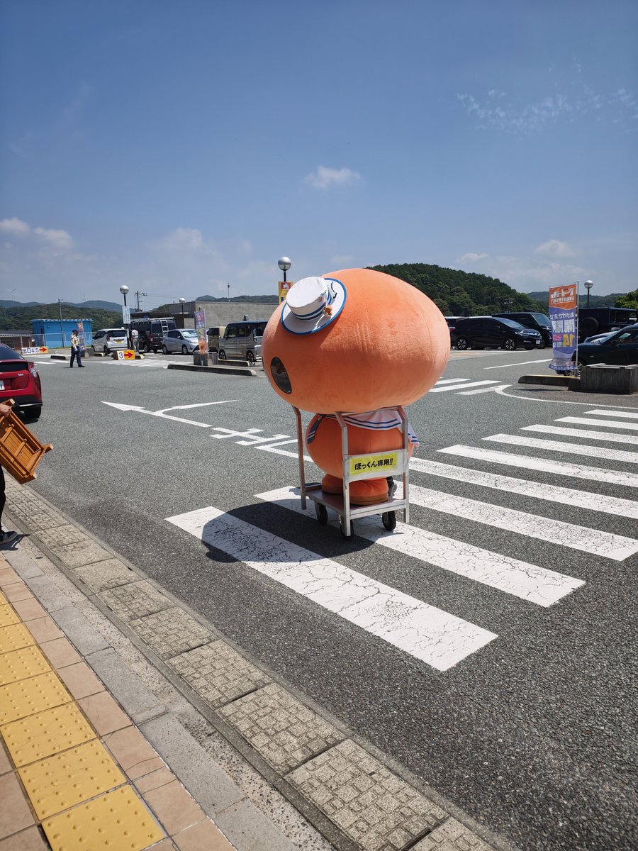 hokkunhouhoku's tweet photo. 夏休み本番。
こちらは今日もよく晴れています。 https://t.co/EayULOT3wG