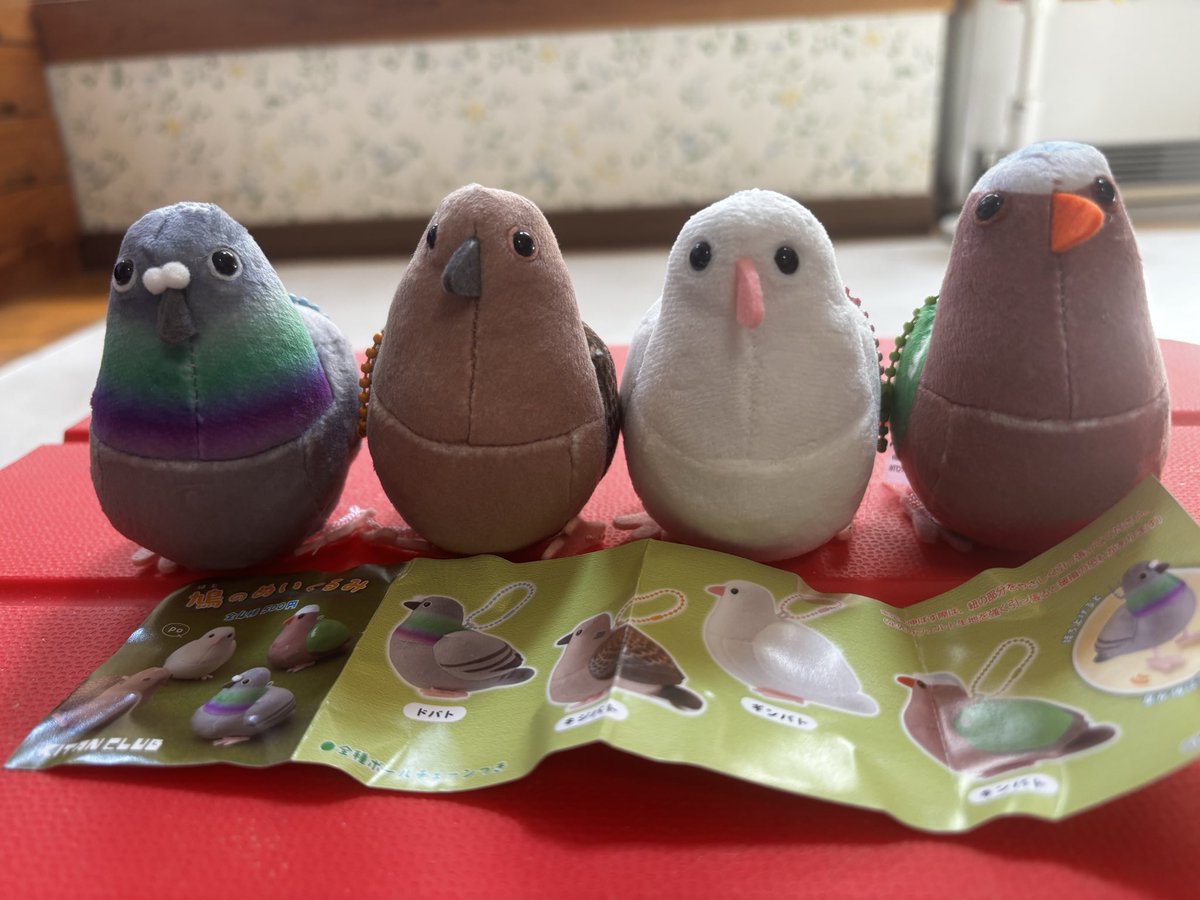 coniece_56's tweet photo. やっときました
鳩ぬいコンプリートセット🕊️
かわいい💕

7月発売を勝手になぜか11日と思い込んでいた私にはこの発売延期長かった https://t.co/fcumv2zc9e