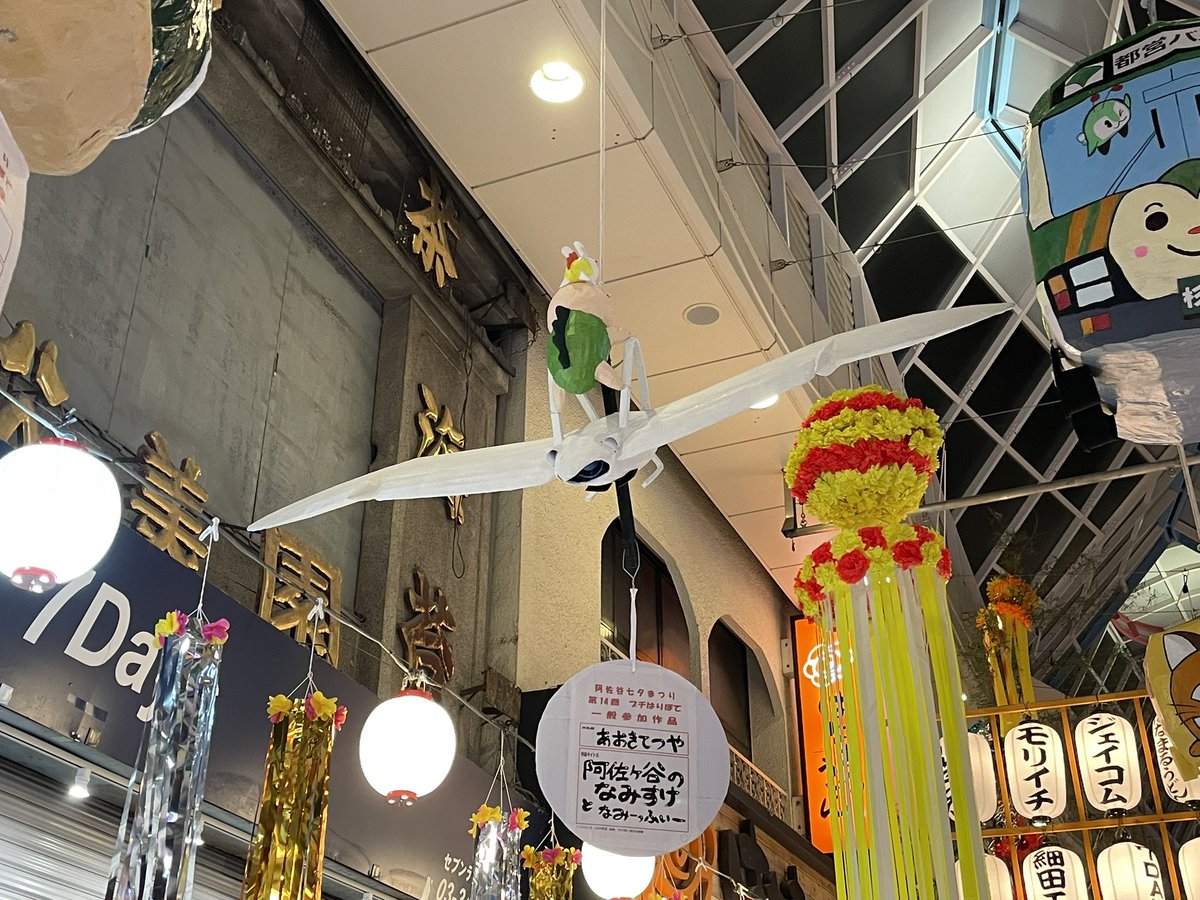 hadamelo's tweet photo. きのうフライングで阿佐ヶ谷の七夕へ🎋
メーヴェに乗ったなみすけ可愛かった
後ろ姿の足がたまらん https://t.co/1BEvm63hjL