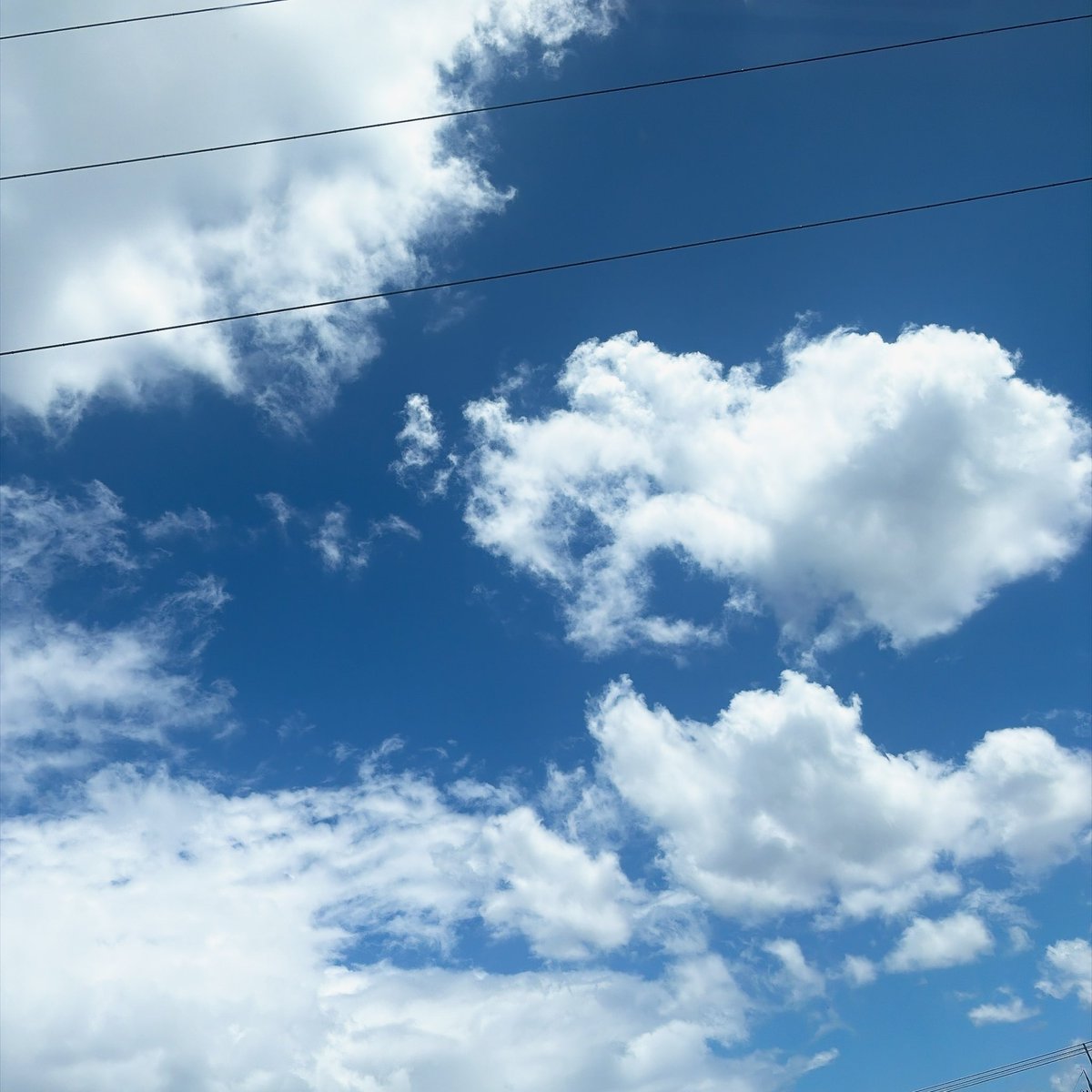 marisato7's tweet photo. 京都のイマソラ
今日も暑い🥵

暑さに負けず
午後からも頑張りましょ✨

#京都
#イマソラ
#空の写真 
#金曜日 https://t.co/jsx3norCw8