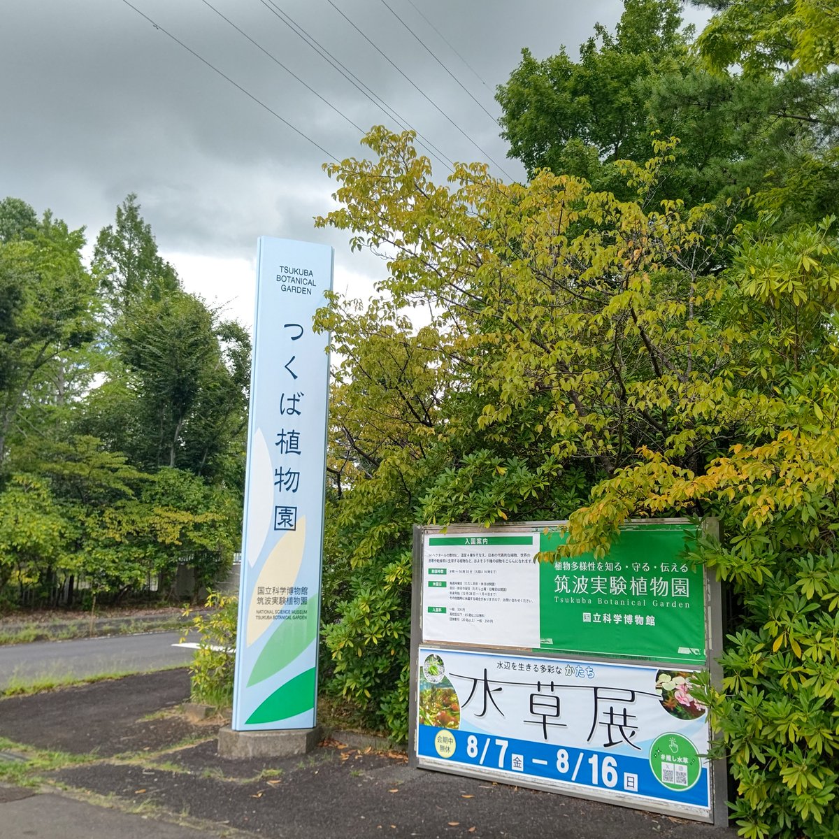 ba7mania's tweet photo. おやこんな所に植物園が…
ちょっと入ってみますか(茶番) https://t.co/p2Avs7H5V3
