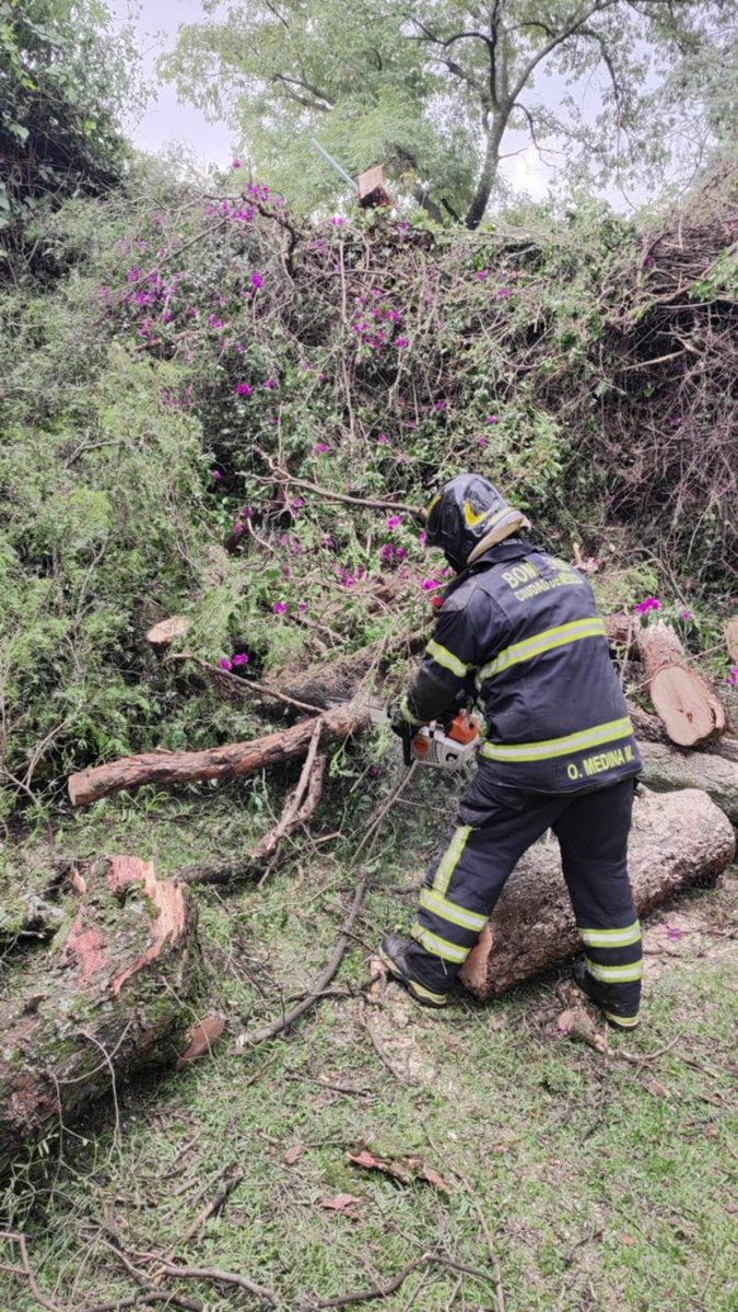 JefeVulcanoCova's tweet photo. Informo los servicios atendidos durante la tarde de hoy, derivados de la lluvia registrada en la ciudad:

20 Árboles caídos
  5 Postes caídos
  1 Espectacular caído
  4 Cortocircuitos

@ClaraBrugadaM https://t.co/BkzcyHoQC7