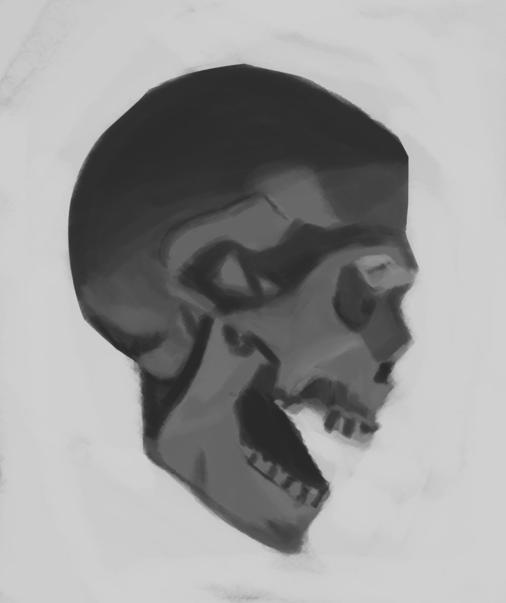 0k4m14rt's tweet photo. Skull Study

#art 
#valuestudy
#digitalart https://t.co/cn3ke1s6nK