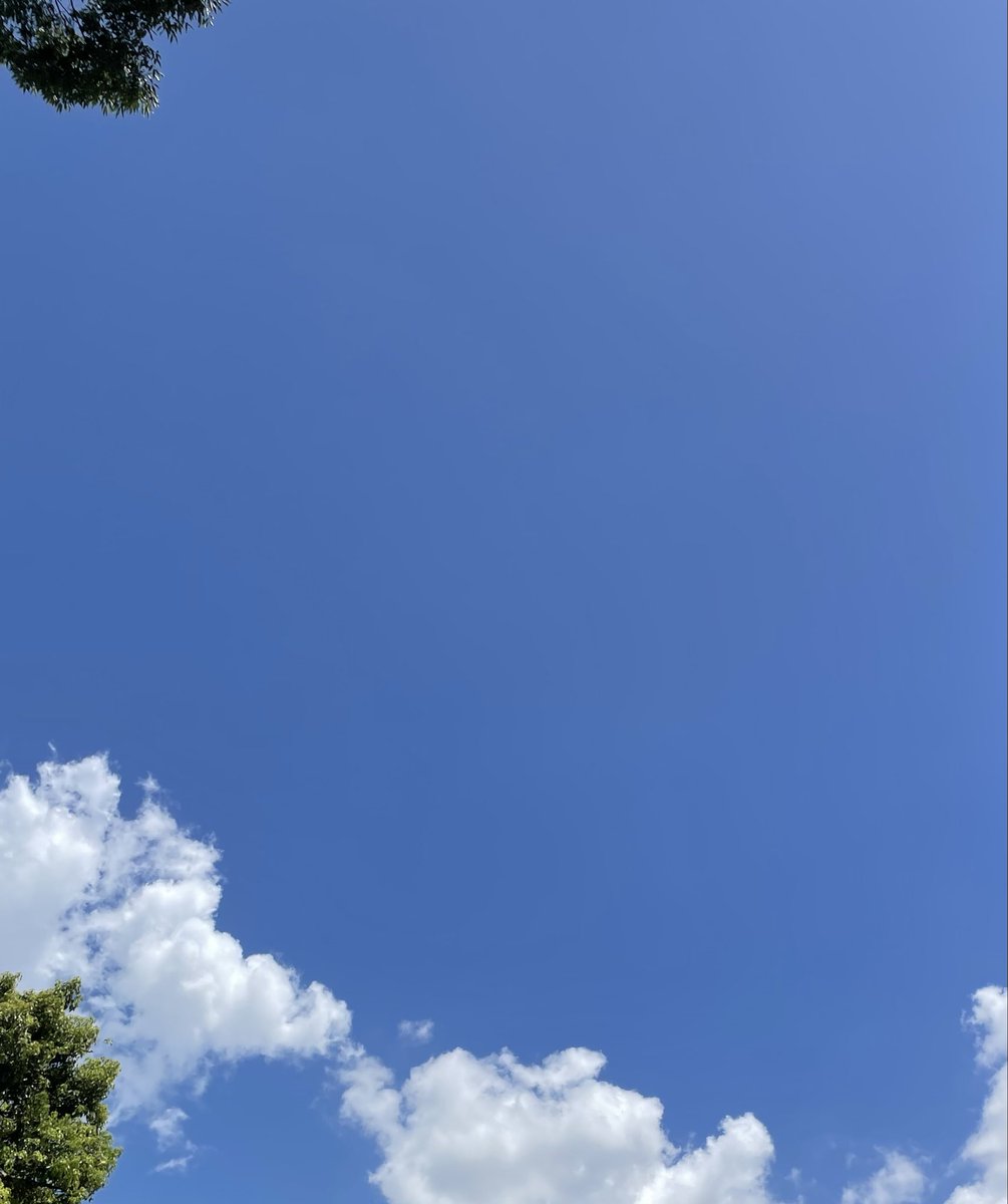 mofumofu_elec's tweet photo. 夏。
圧倒的夏☀️

#いまそら https://t.co/iVuuzpdu8o