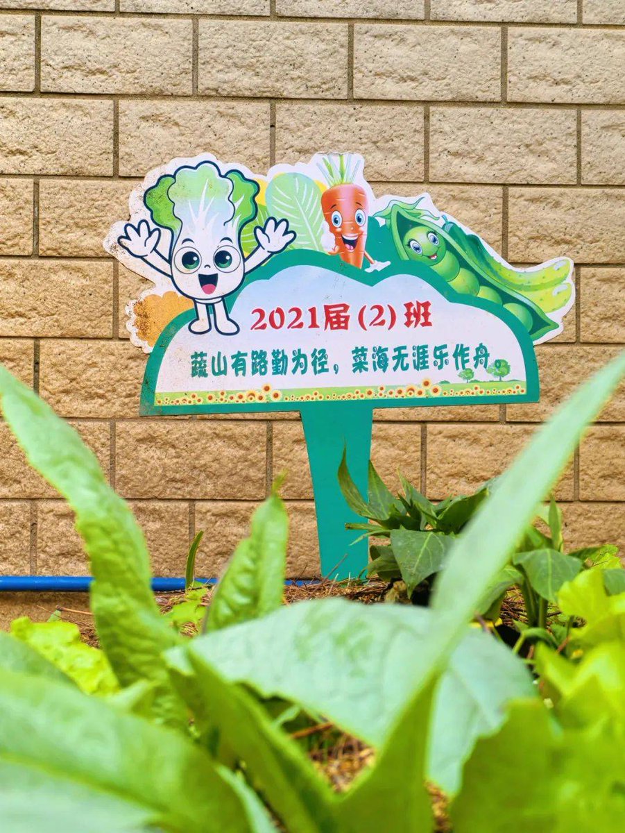 edd17057066's tweet photo. [今日鲜采本地时蔬：带着晨露的小青菜、脆甜水果黄瓜刚到店，晚高峰前下单就能锁鲜，快给餐桌加份清爽]， https://t.co/kiuBVSsZLU