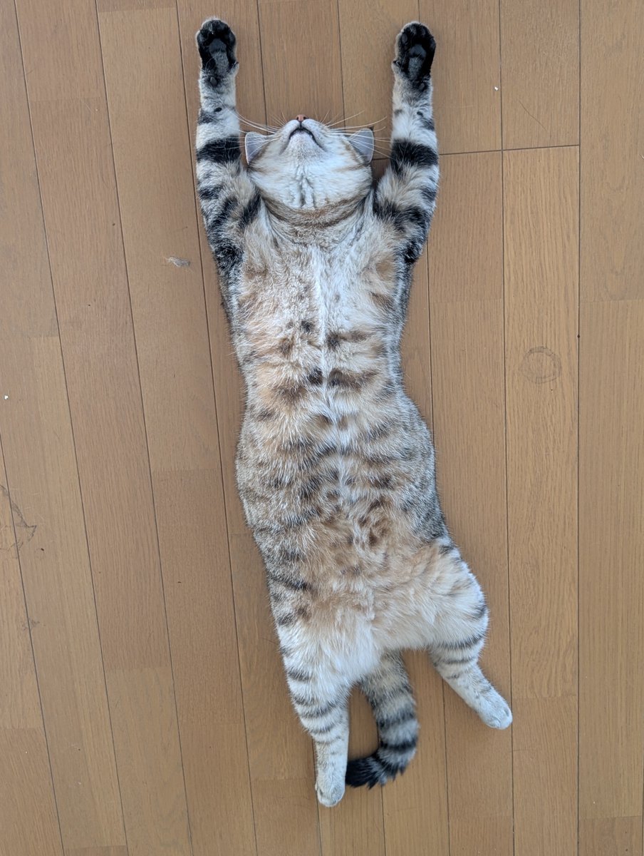 hotateyasan's tweet photo. いまこんな感じですが、吸ってもいい訳ではないんですよね... https://t.co/EQ1HxxDkct