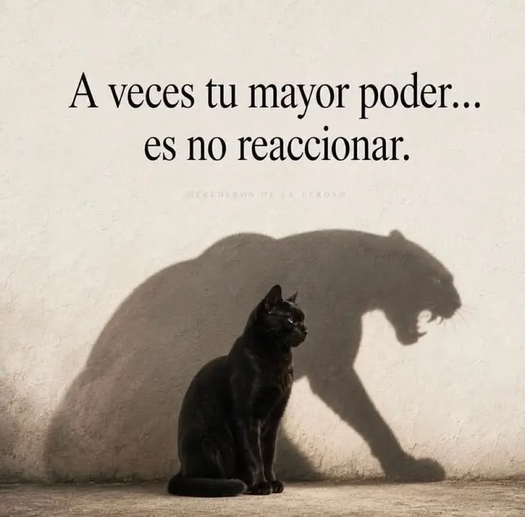 MsCiencia2's tweet photo. Prioriza tu paz mental. https://t.co/Eivp013ElN