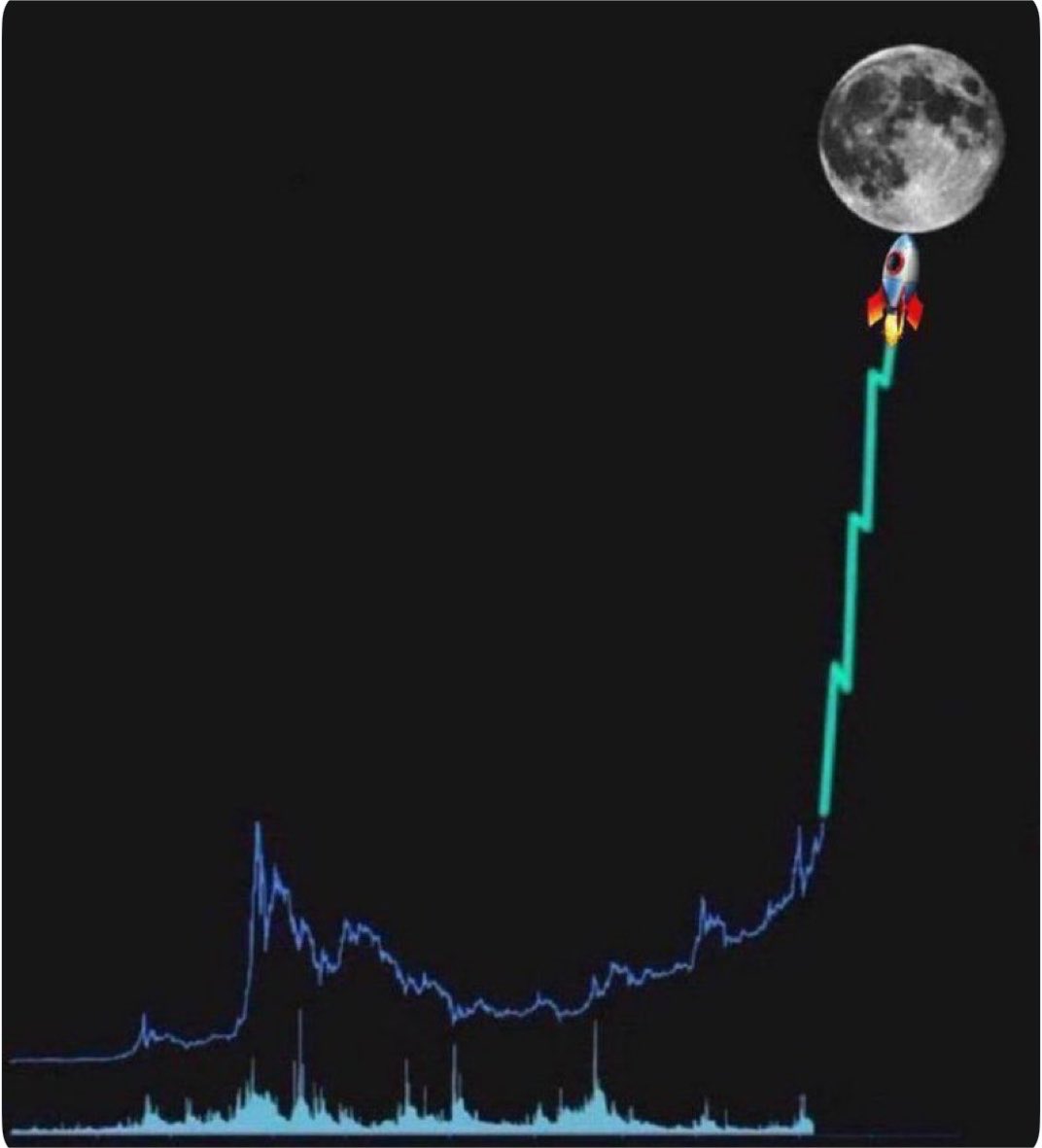 theAdamcrypto's tweet photo. Shill me Your #memecoin ready to moon🚀 https://t.co/3kNy5v3lzK