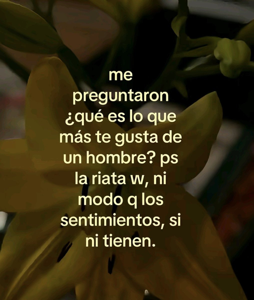 nohayred's tweet photo. efectivamente JAJAAJJAAJA https://t.co/BlRHmnUNZr