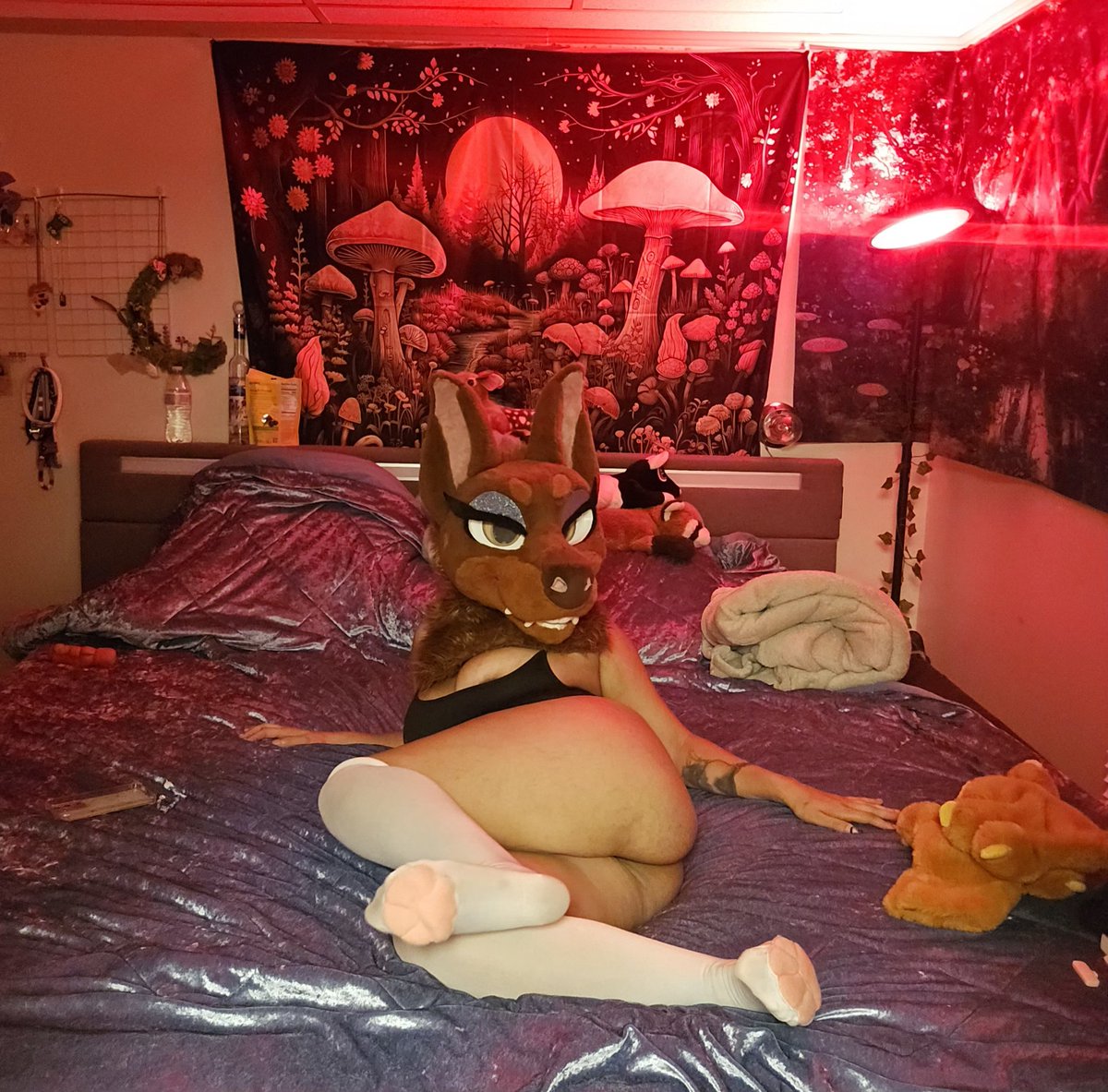 TheQueenGem99's tweet photo. Room for more https://t.co/cpPjCaCORG