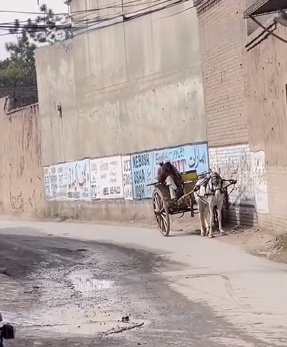 koolkopper's tweet photo. One of the last Tangas somewhere on the outskirts of Peshawar waiting for passengers. We used to go to school in a Tanga in Bannu. What a regal ride. I remember asking the Kochwan named Saifullah to give us the reins so we could get the feel. Sadly, they are now completely extinct.