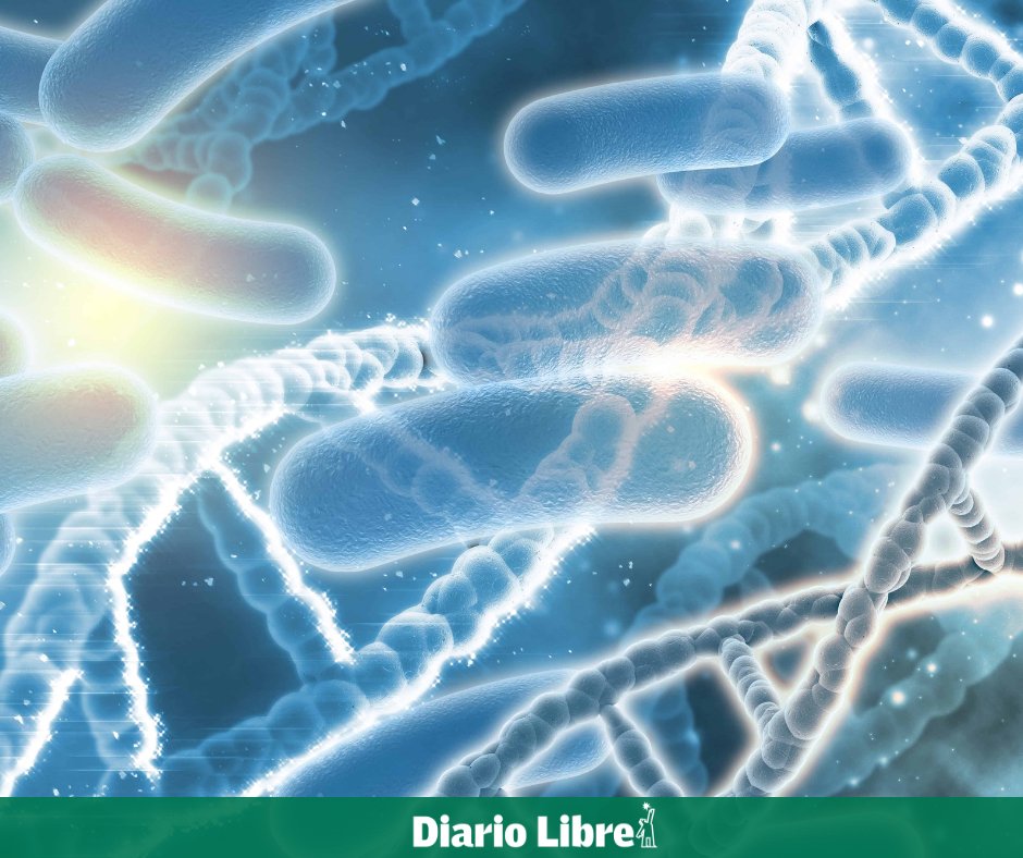 DiarioLibre's tweet photo. 🔬 | #CienciaDL | Científicos crean con IA virus sintéticos capaces de combatir bacterias resistentes
Conoce todos los detalles en 🔗 https://t.co/DfWg8irHQ5
#DiarioLibre #Científicos #IA #Virus #Bacterias https://t.co/c8gMFRDYJD