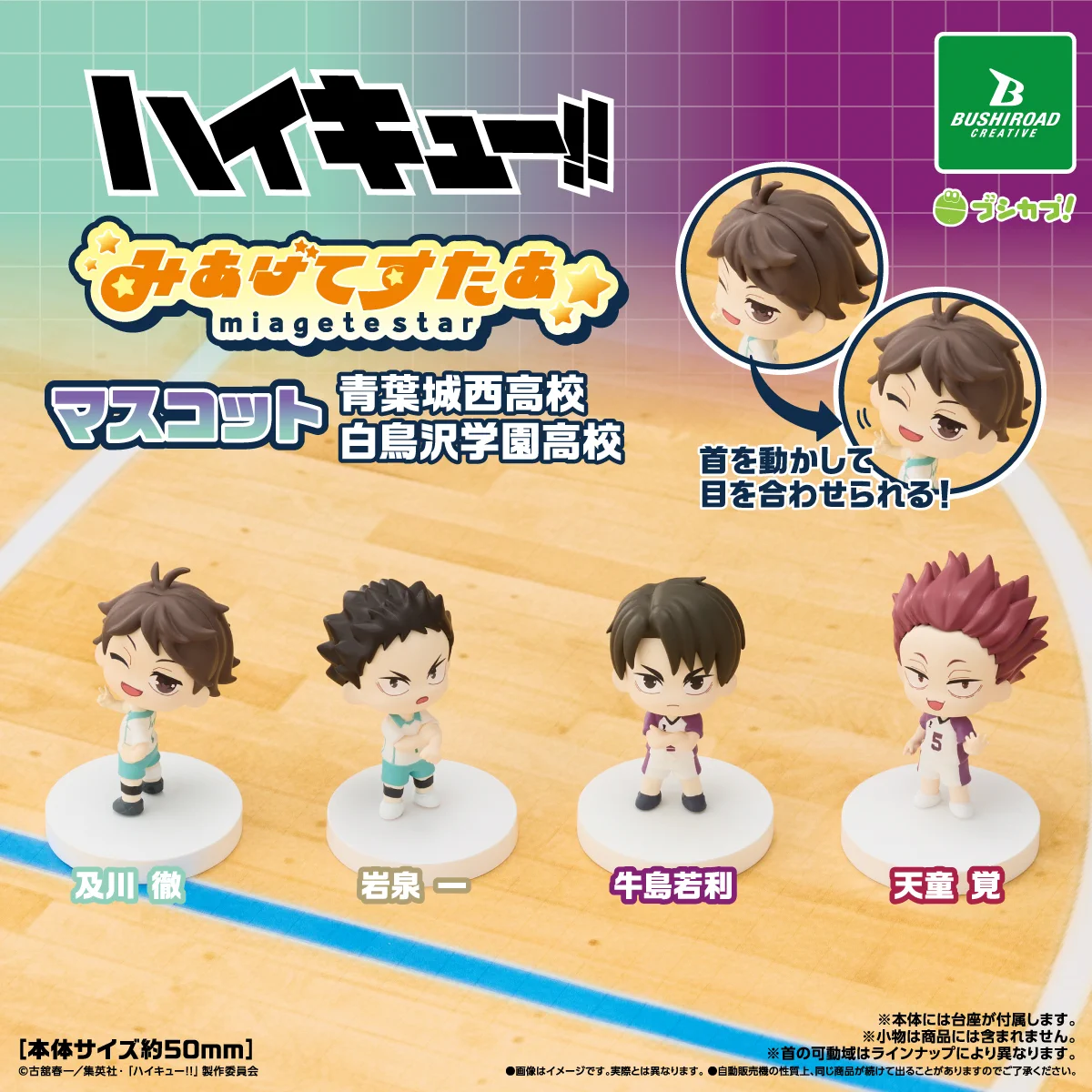 ブシカプ！公式 on X: 