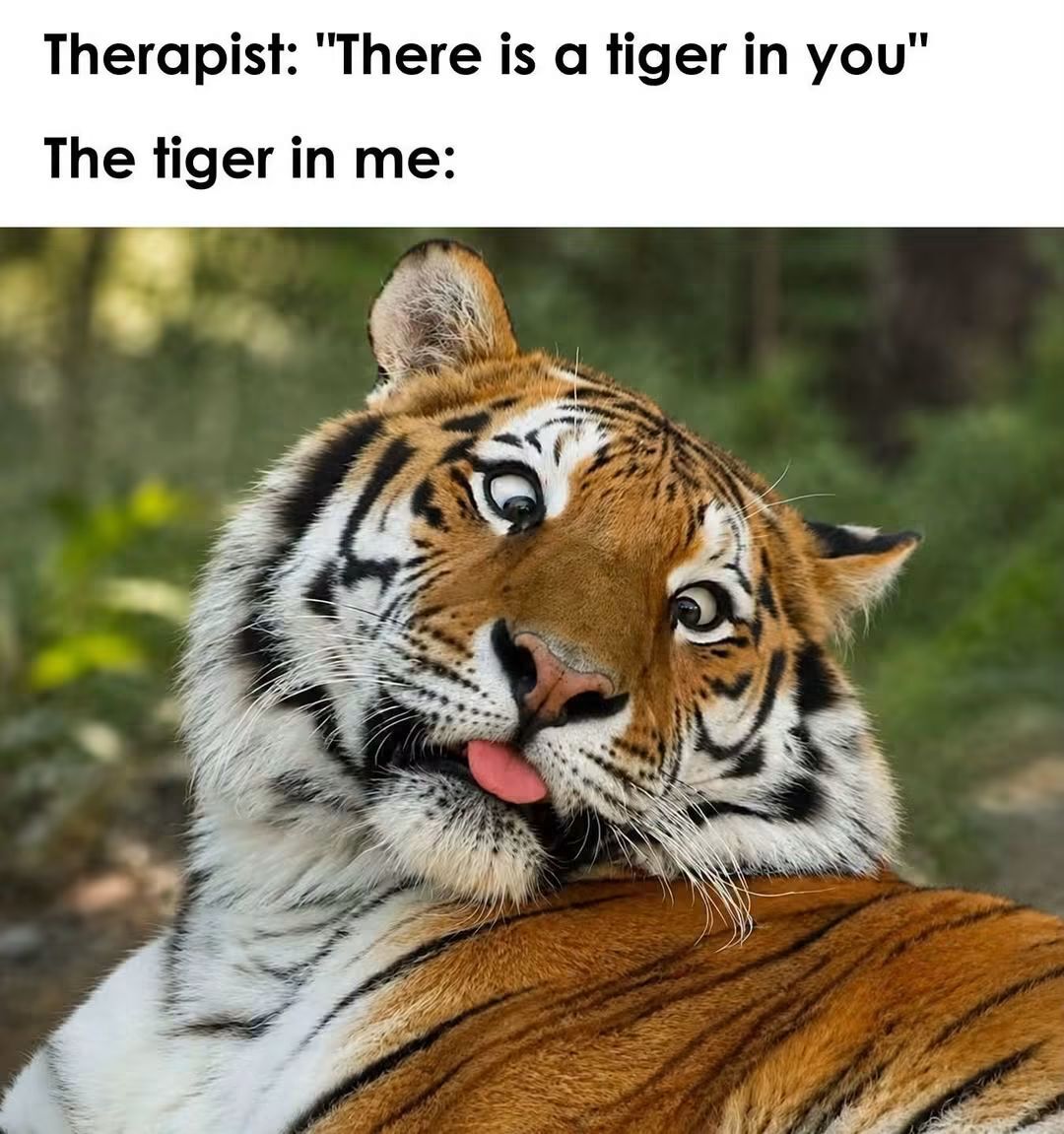 WholesomeMeme's tweet photo. https://t.co/KbGoyhmfRo