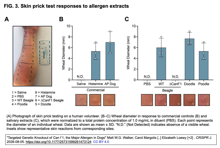 ScienceCrisp's tweet photo. "Targeted Genetic Knockout of Can f 1, the Major Allergen in Dogs" 
Walker MWG, Margolis C, Wiegand T, Gavin N, Loewy E.
CRISPR J. 2026-08-05. https://t.co/wqGQp7Kk6x https://t.co/a9MhC7NSxp