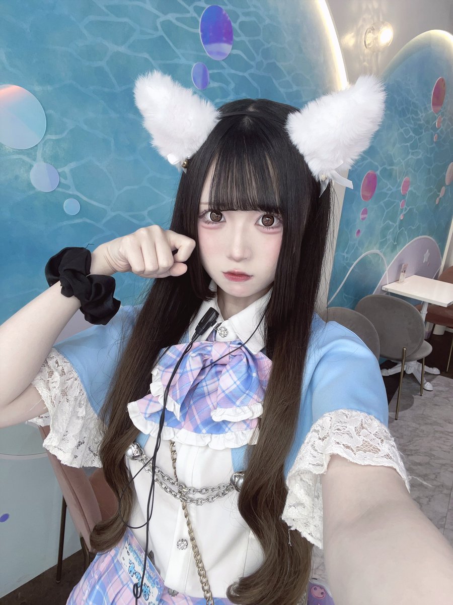 ayaka_imagicf's tweet photo. にゃんこ៸៸᳐ >𖥦< ៸៸᳐♡ https://t.co/cZIGfBvARr