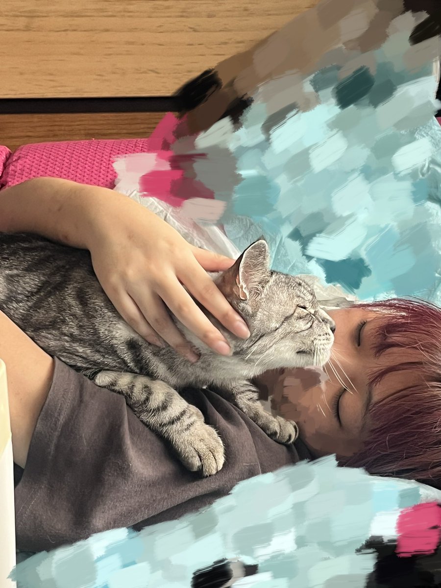coco__chokibo's tweet photo. 最近の癒し https://t.co/Bhau4O3KAw