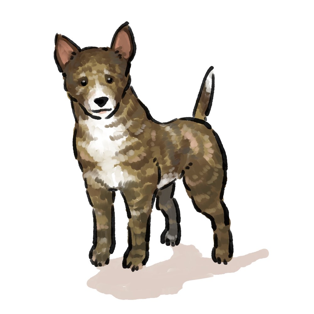 Kano_H8_work's tweet photo. オーストラリアン・キャトル・ドッグ
2026 
#イラスト #犬イラスト #オーストラリアン・キャトル・ドッグ https://t.co/dVD7cVNdsk