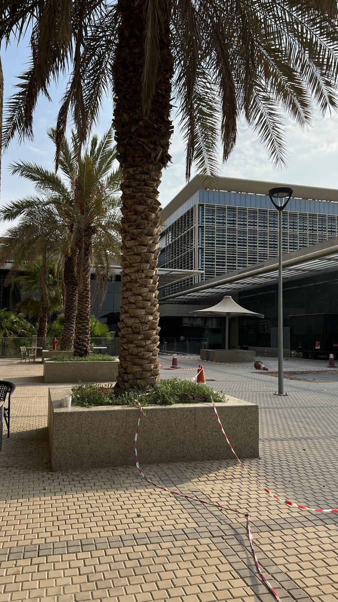 Sii1j's tweet photo. صباحات امس https://t.co/o5XYsemb83
